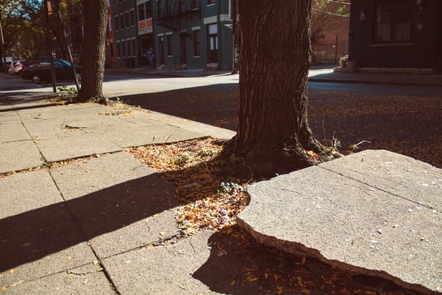 Can you sue the city if you slip and fall on a sidewalk?